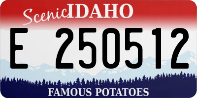 ID license plate E250512