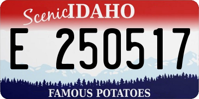 ID license plate E250517