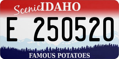ID license plate E250520