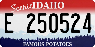 ID license plate E250524
