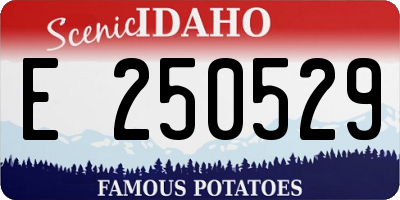 ID license plate E250529