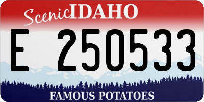 ID license plate E250533