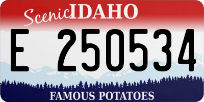 ID license plate E250534