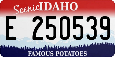 ID license plate E250539
