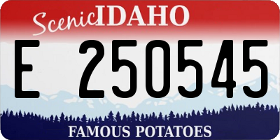 ID license plate E250545