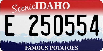 ID license plate E250554