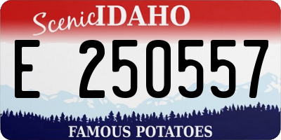ID license plate E250557