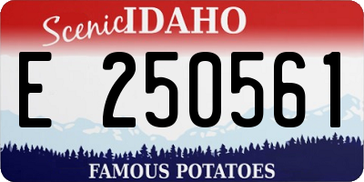 ID license plate E250561