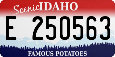 ID license plate E250563