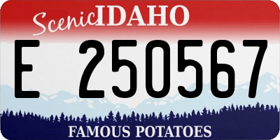 ID license plate E250567