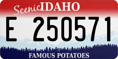 ID license plate E250571