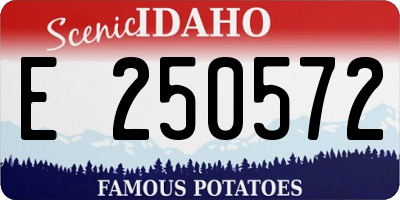 ID license plate E250572