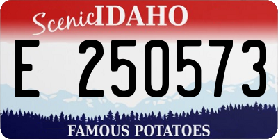 ID license plate E250573