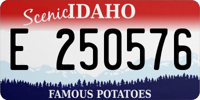 ID license plate E250576
