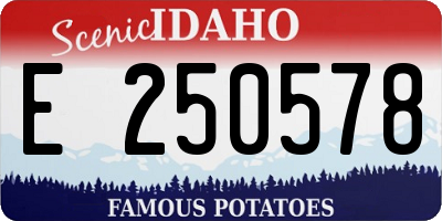 ID license plate E250578