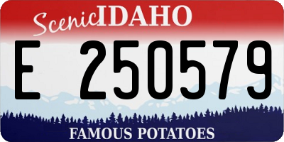 ID license plate E250579