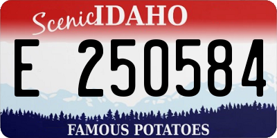 ID license plate E250584