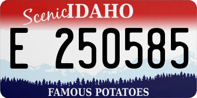 ID license plate E250585