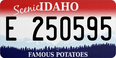 ID license plate E250595