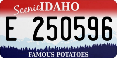 ID license plate E250596