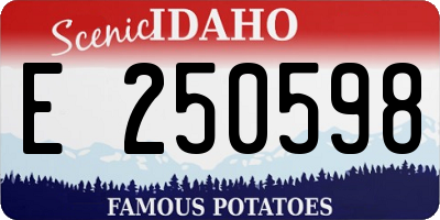 ID license plate E250598