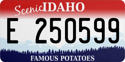 ID license plate E250599