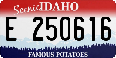 ID license plate E250616