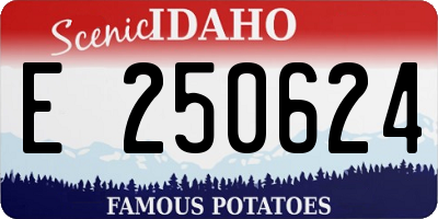 ID license plate E250624