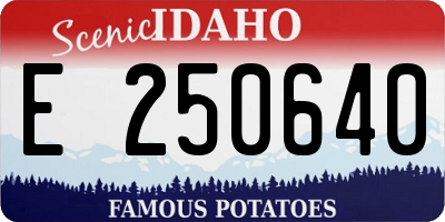 ID license plate E250640