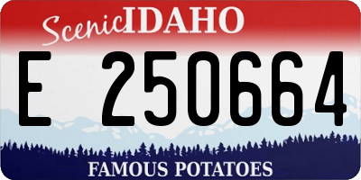 ID license plate E250664