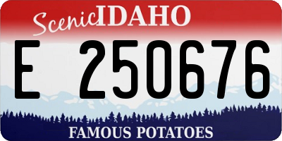 ID license plate E250676