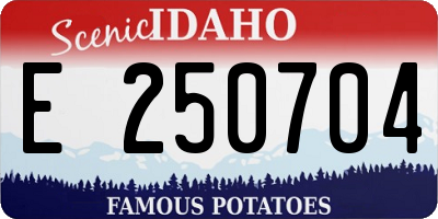 ID license plate E250704