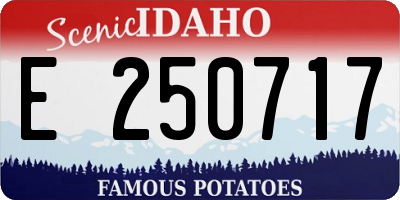 ID license plate E250717