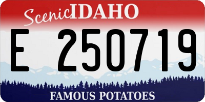 ID license plate E250719