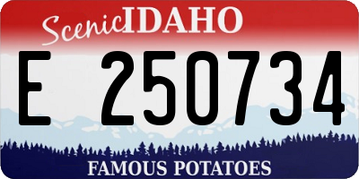 ID license plate E250734