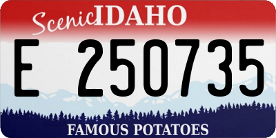 ID license plate E250735