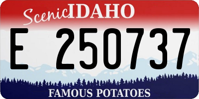 ID license plate E250737
