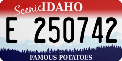 ID license plate E250742