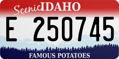 ID license plate E250745