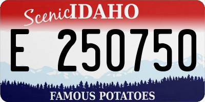 ID license plate E250750