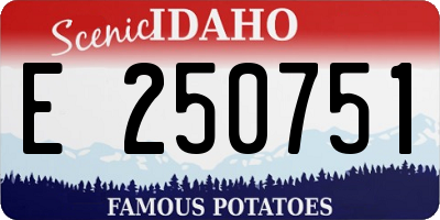 ID license plate E250751