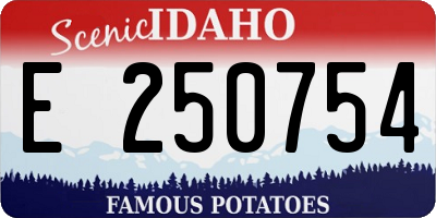 ID license plate E250754