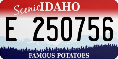 ID license plate E250756