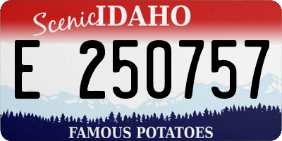 ID license plate E250757