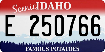 ID license plate E250766