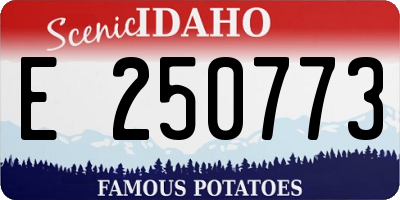 ID license plate E250773