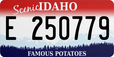 ID license plate E250779
