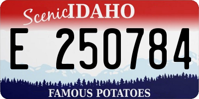 ID license plate E250784
