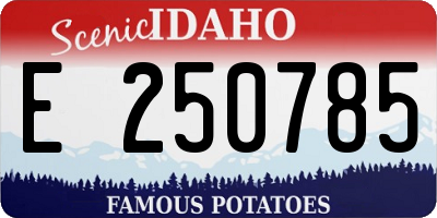ID license plate E250785