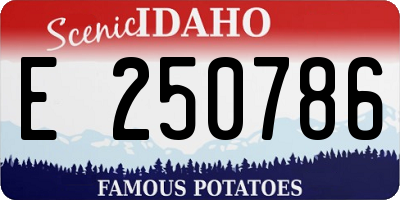 ID license plate E250786